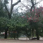 Do Parque Hotel 4*