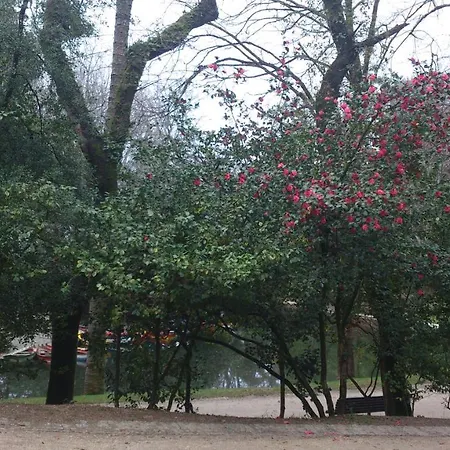 Do Parque Hotel 4*