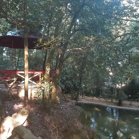 Hotel Do Parque Braga