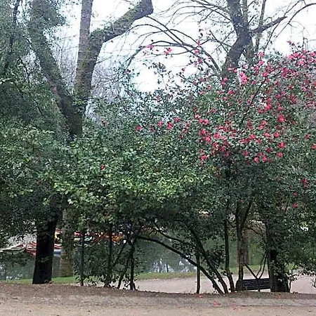 Do Parque Braga