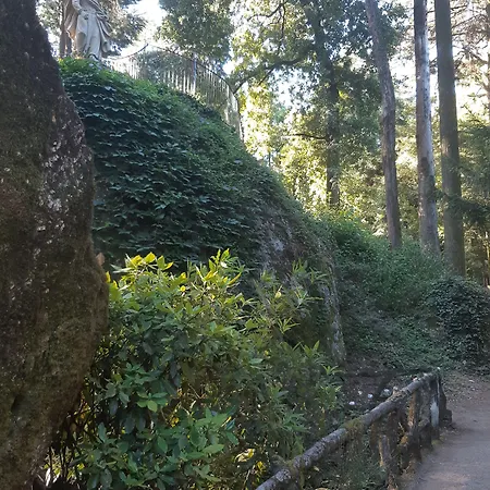 Do Parque Braga